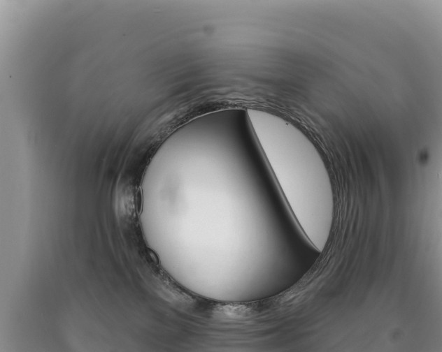 X0000090890137200707271046