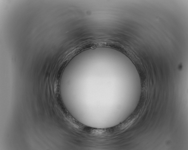 X0000090890139200707271046