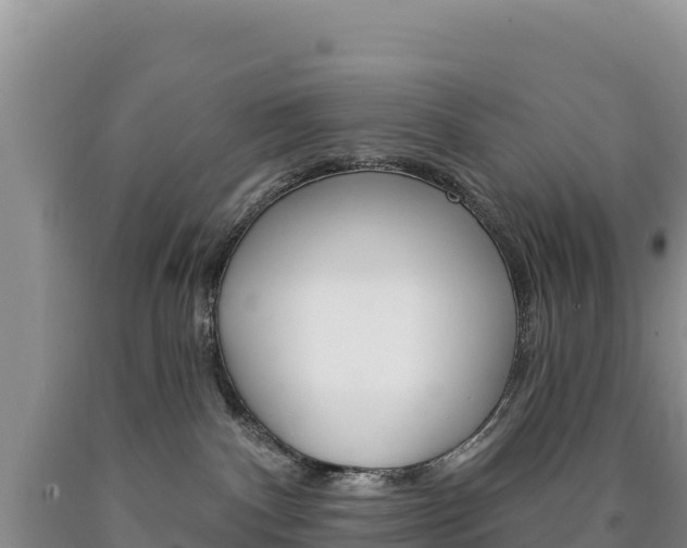 X0000090890140200707271046