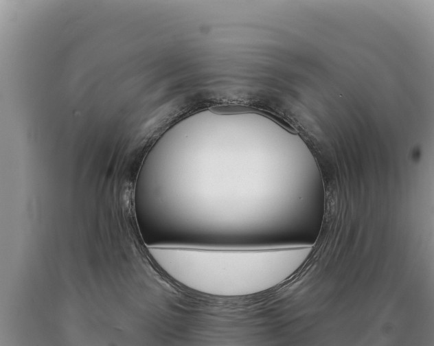 X0000090890141200707271046