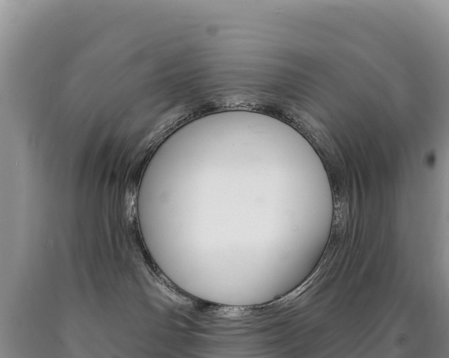 X0000090890142200707271046