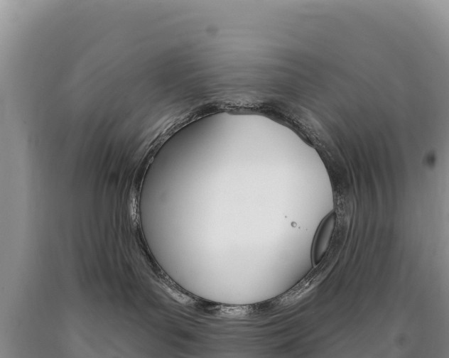X0000090890143200707271046