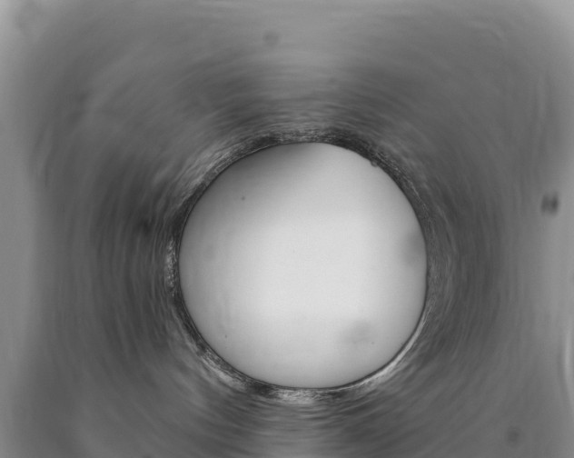 X0000090890144200707271046
