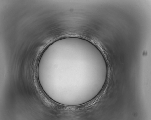 X0000090890145200707271045