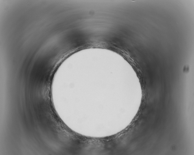 X0000090890146200707271046