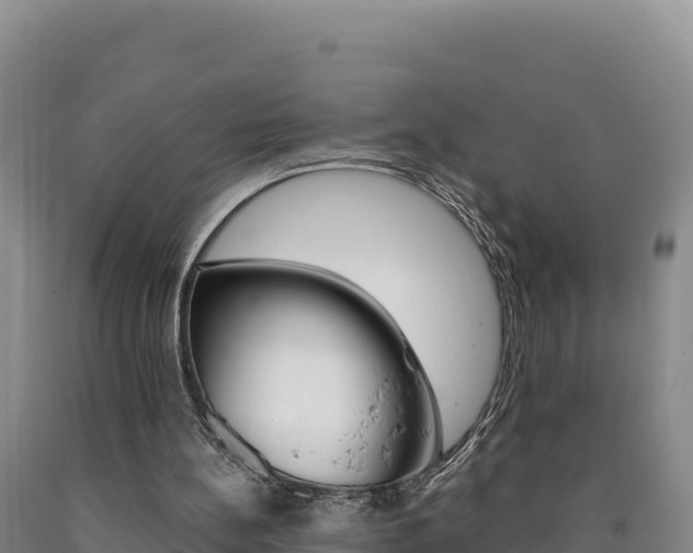 X0000090890148200707271046