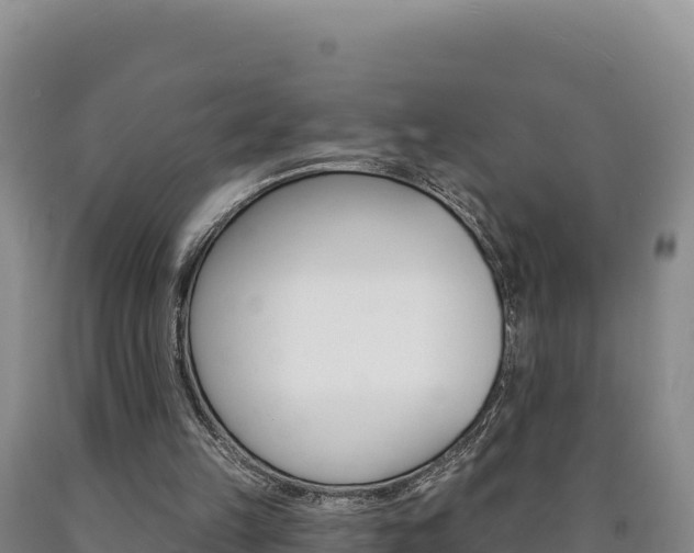 X0000090890149200707271046