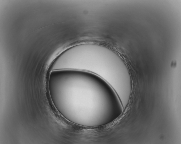 X0000090890150200707271046
