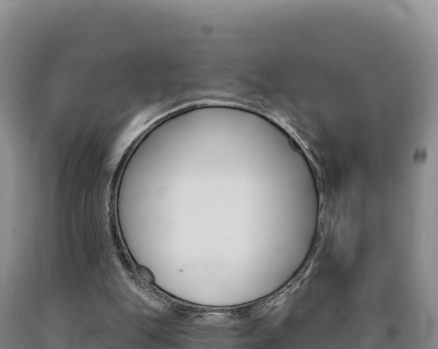 X0000090890151200707271046