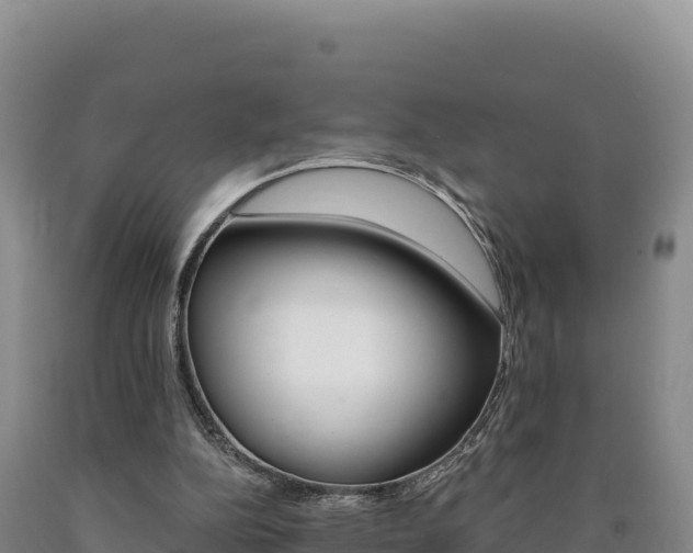 X0000090890152200707271046