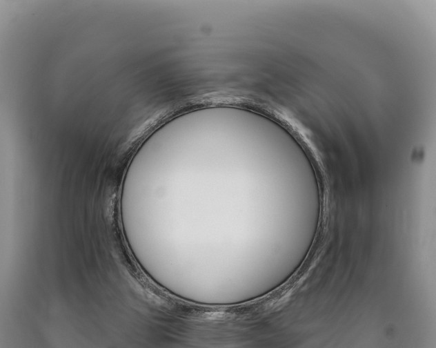 X0000090890153200707271046