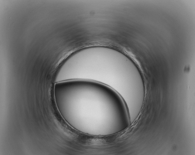 X0000090890154200707271046