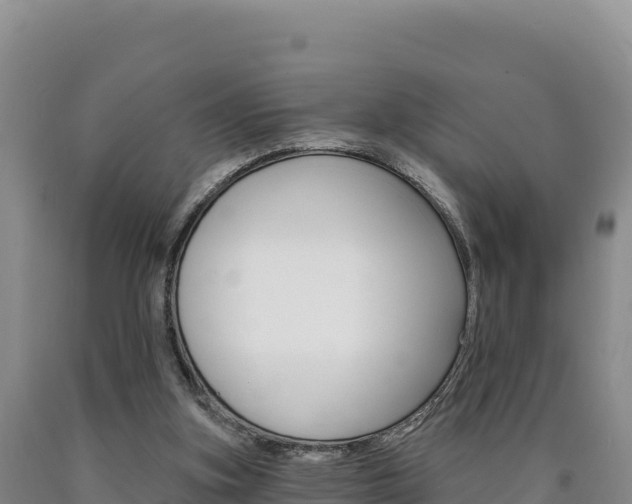 X0000090890155200707271046