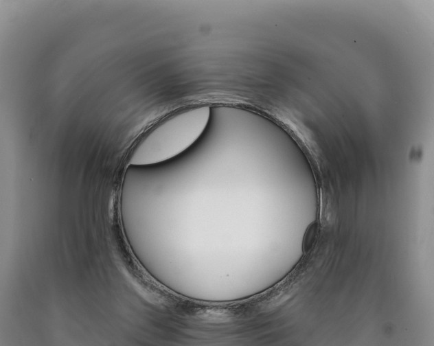 X0000090890157200707271046
