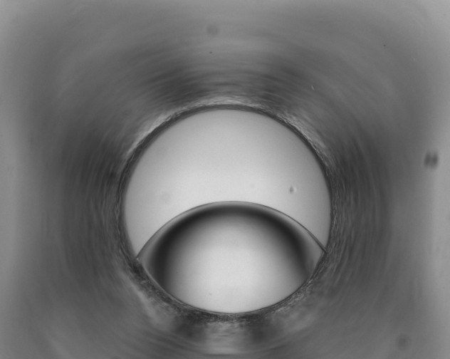 X0000090890160200707271046