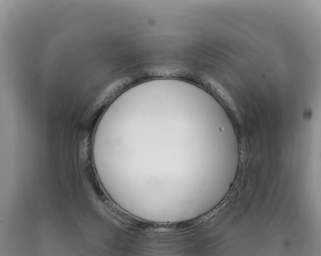 X0000090890163200707271046