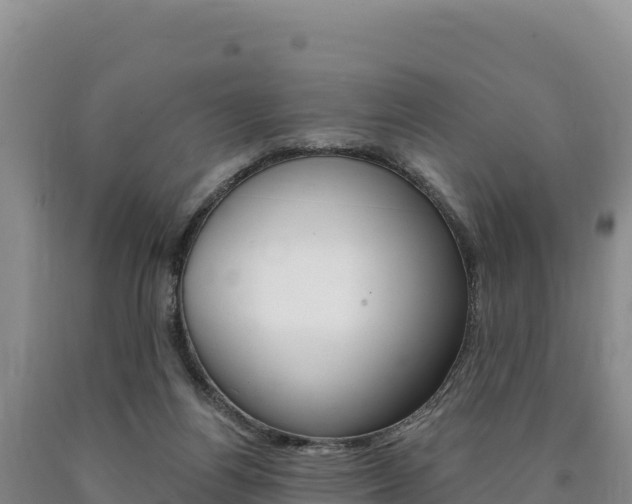 X0000090890164200707271046