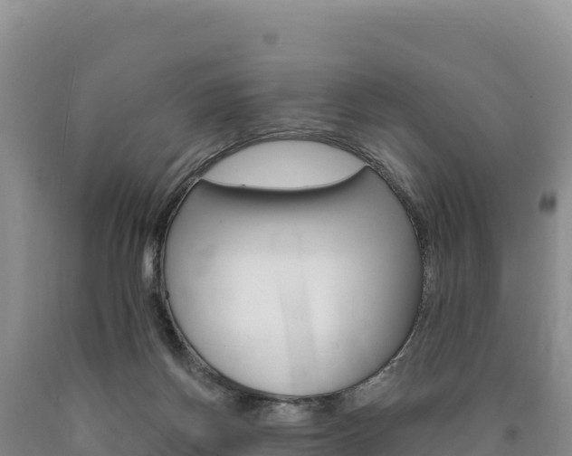 X0000090890166200707271046