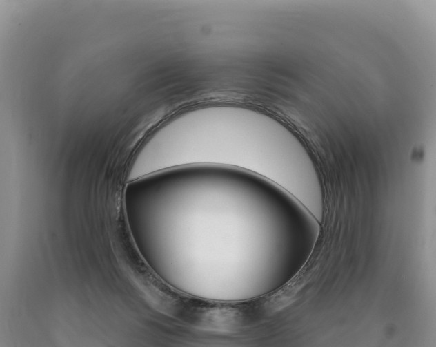 X0000090890168200707271046