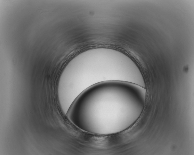 X0000090890170200707271046