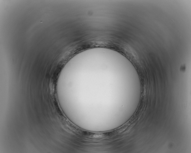 X0000090890173200707271046