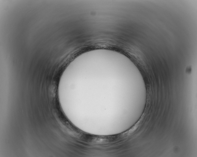 X0000090890174200707271046