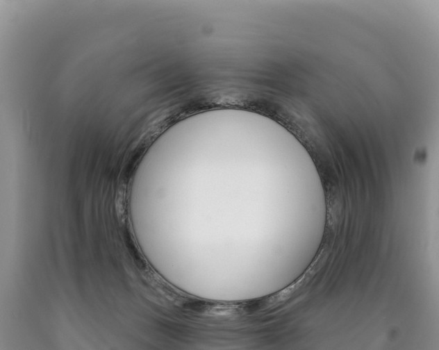 X0000090890175200707271046