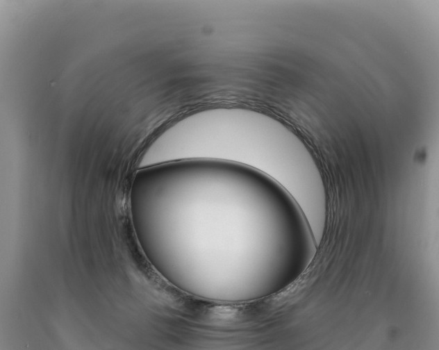 X0000090890176200707271046