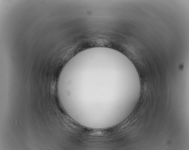 X0000090890177200707271046