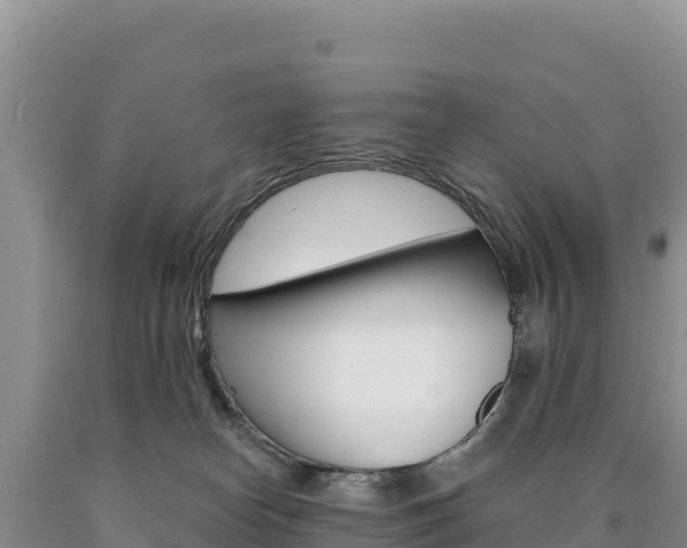 X0000090890182200707271046
