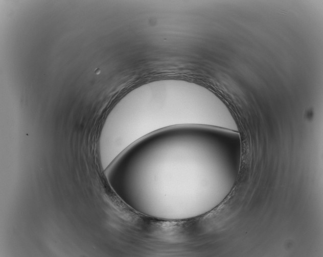 X0000090890184200707271046