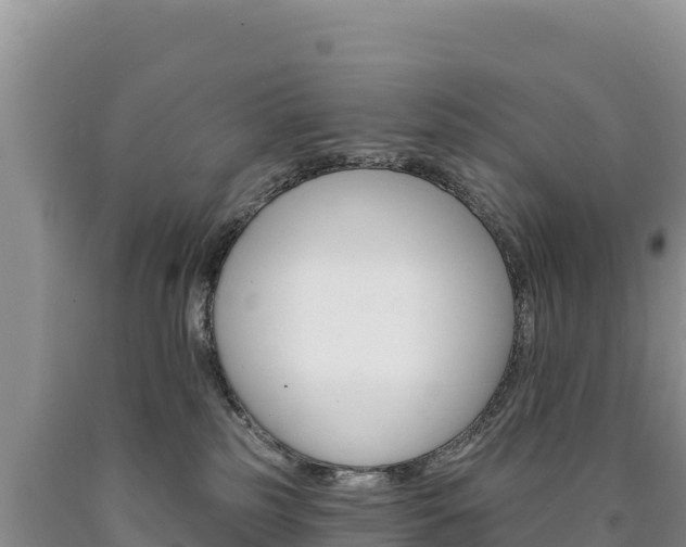 X0000090890185200707271046