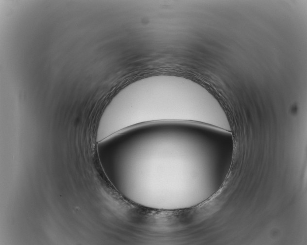 X0000090890186200707271046