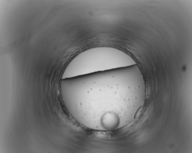 X0000090890187200707271046