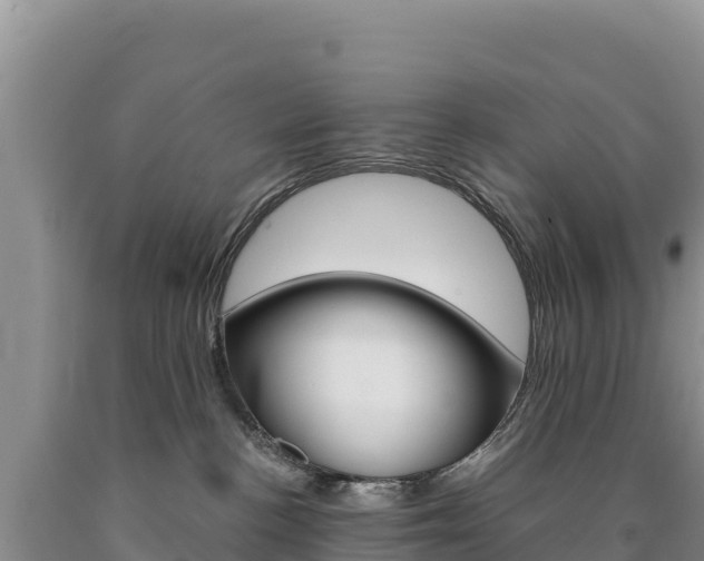 X0000090890188200707271046
