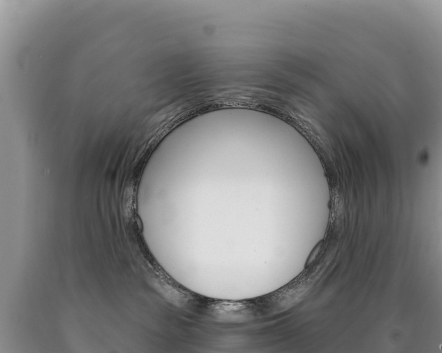 X0000090890189200707271046