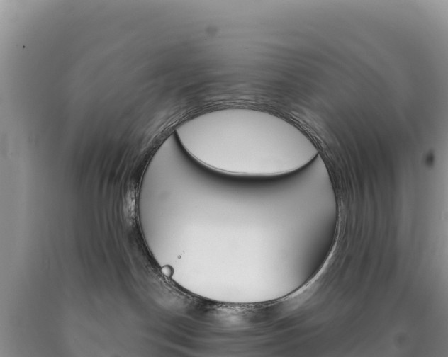 X0000090890190200707271046