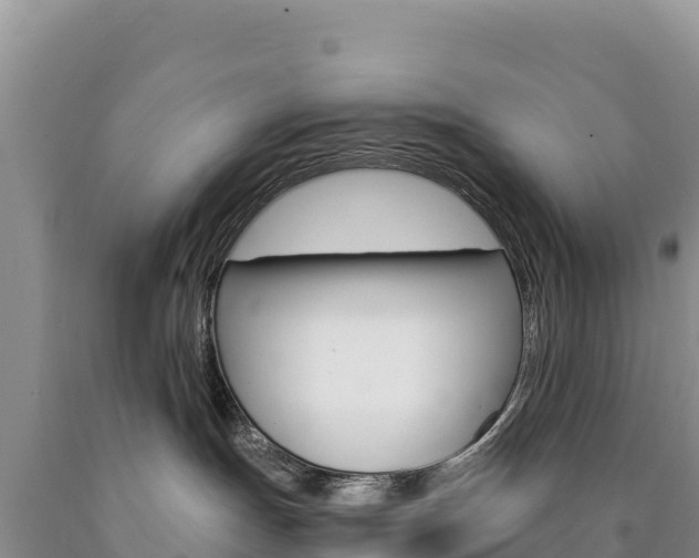 X0000090890191200707271046