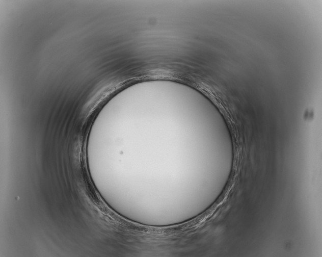 X0000090890194200707271045