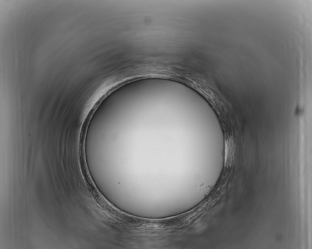 X0000090890195200707271045
