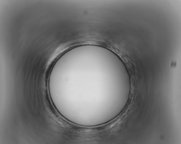 X0000090890198200707271045