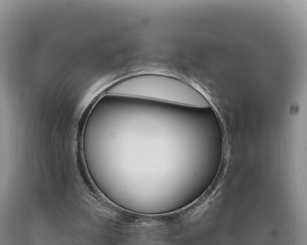 X0000090890199200707271045