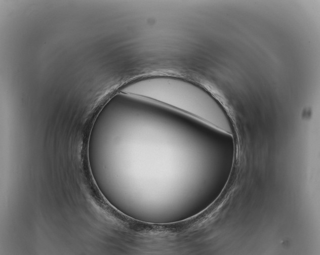 X0000090890201200707271045