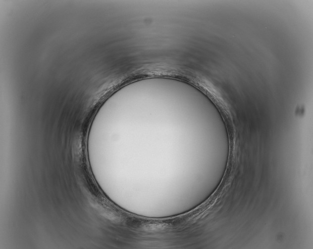 X0000090890202200707271045