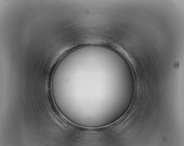 X0000090890203200707271045