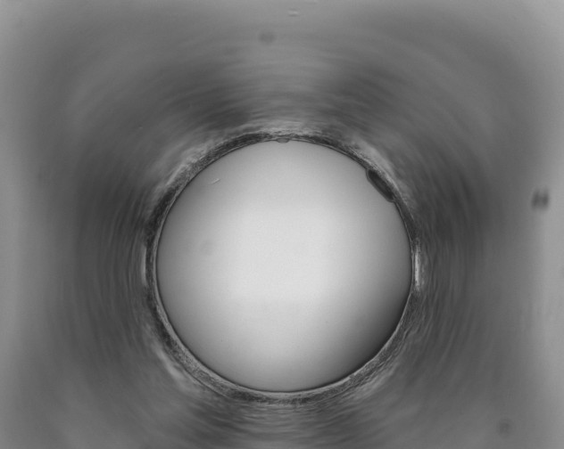 X0000090890205200707271045