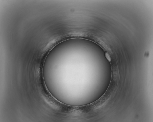 X0000090890207200707271045