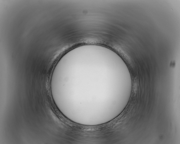 X0000090890208200707271045