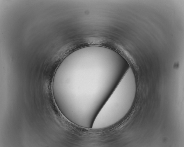 X0000090890209200707271045