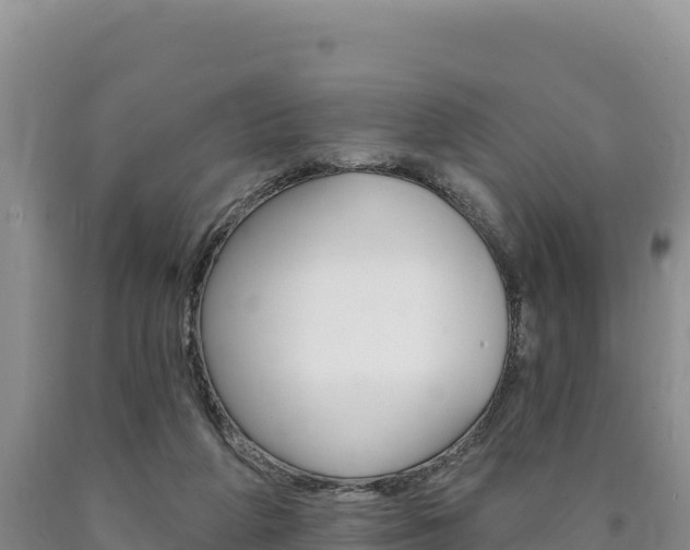 X0000090890210200707271045